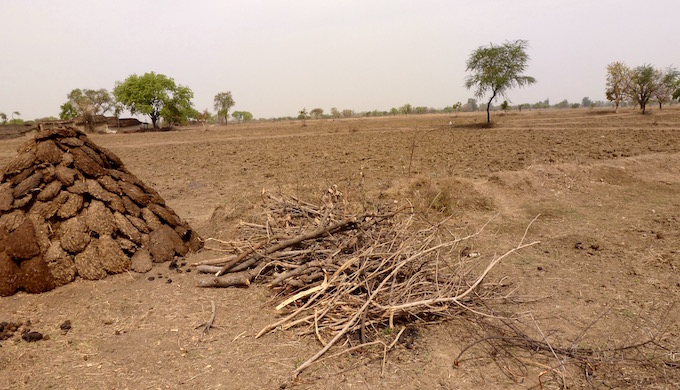 The drying up of wells in Paldev Ka Purwa has meant unsowed, barren fields.