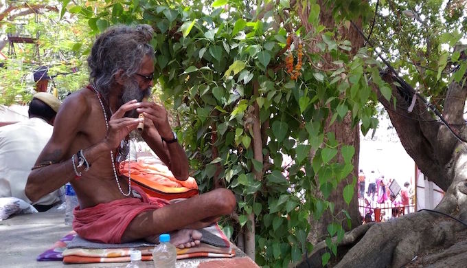 A sadhu plays a captivating tune over the hustle bustle of ritual bathing in the Shipra river.