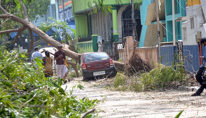 A large number of trees were uprooted in the cyclonic storm. (Photo by S. Gopikrishna Warrier)