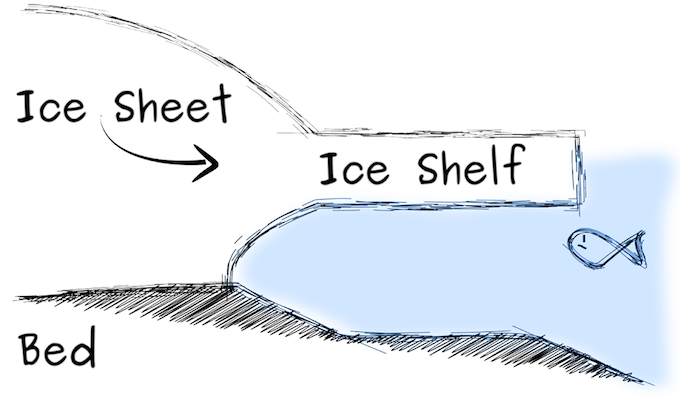 This is how an ice shelf looks without an ice rise [image by Reinhard Drews]