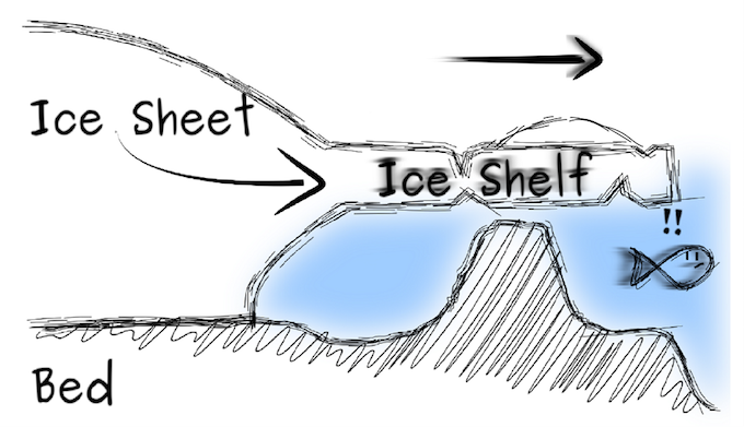 If the ice shelf thins, the ice rise will also disappear, leading to speeding up of melting [image by Reinhard Drews]