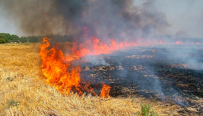 Burning of crop residues is a hazardous annual practice in India. (Photo by Manfred Sommer)