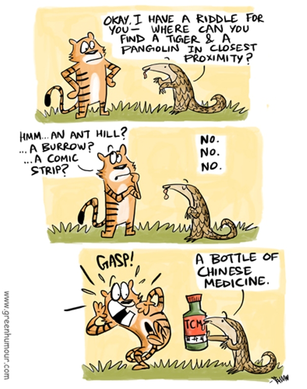 Tigers and Pangolins (By Rohan Chakravarty/ Green Humour) 