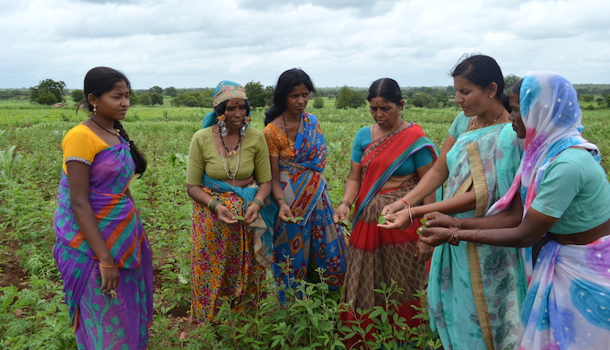 Women farmers learning the nitty-gritty of the one-acre model. (Photo by Swayam Shikshan Prayog)