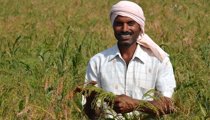 Sunil Kundgol of Itigatti village in Karnataka grows six varieties of millets on his farm including Proso Millet (Photo by Hiren Kumar Bose)
