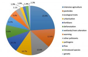 The main factors associated with insect declines (Source: Worldwide decline of the entomofauna: A review of its drivers)