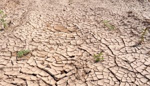 Degraded land is adding to the climate crisis (Photo by Pixabay)