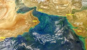 Algal blooms in the Arabian Sea seen from space (Image by NASA)