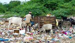 Solid waste management needs to become more efficient in India (Photo by Frank Bienewald/Alamy)