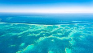 An aerial view of the Great Barrier Reef (Photo by Ingo Oeland/Alamy)