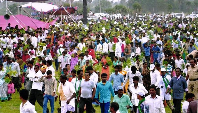 A large number of people in Telangana have been provided with seedlings under the Haritha Haram programme (Photo by Mohan Chandra Pargaien)